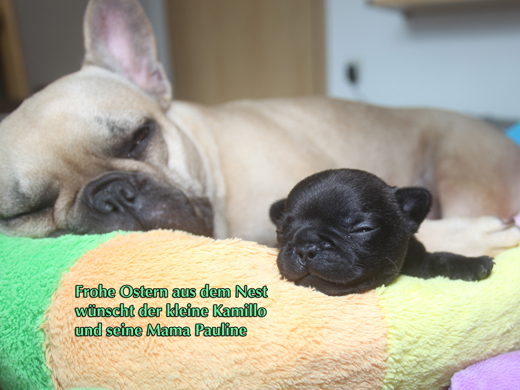 je suis desol�