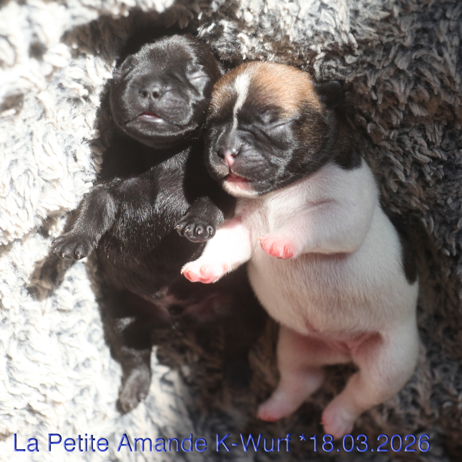 je me sens bien au sable